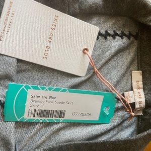 Skies are blue small skirt from stitch fix